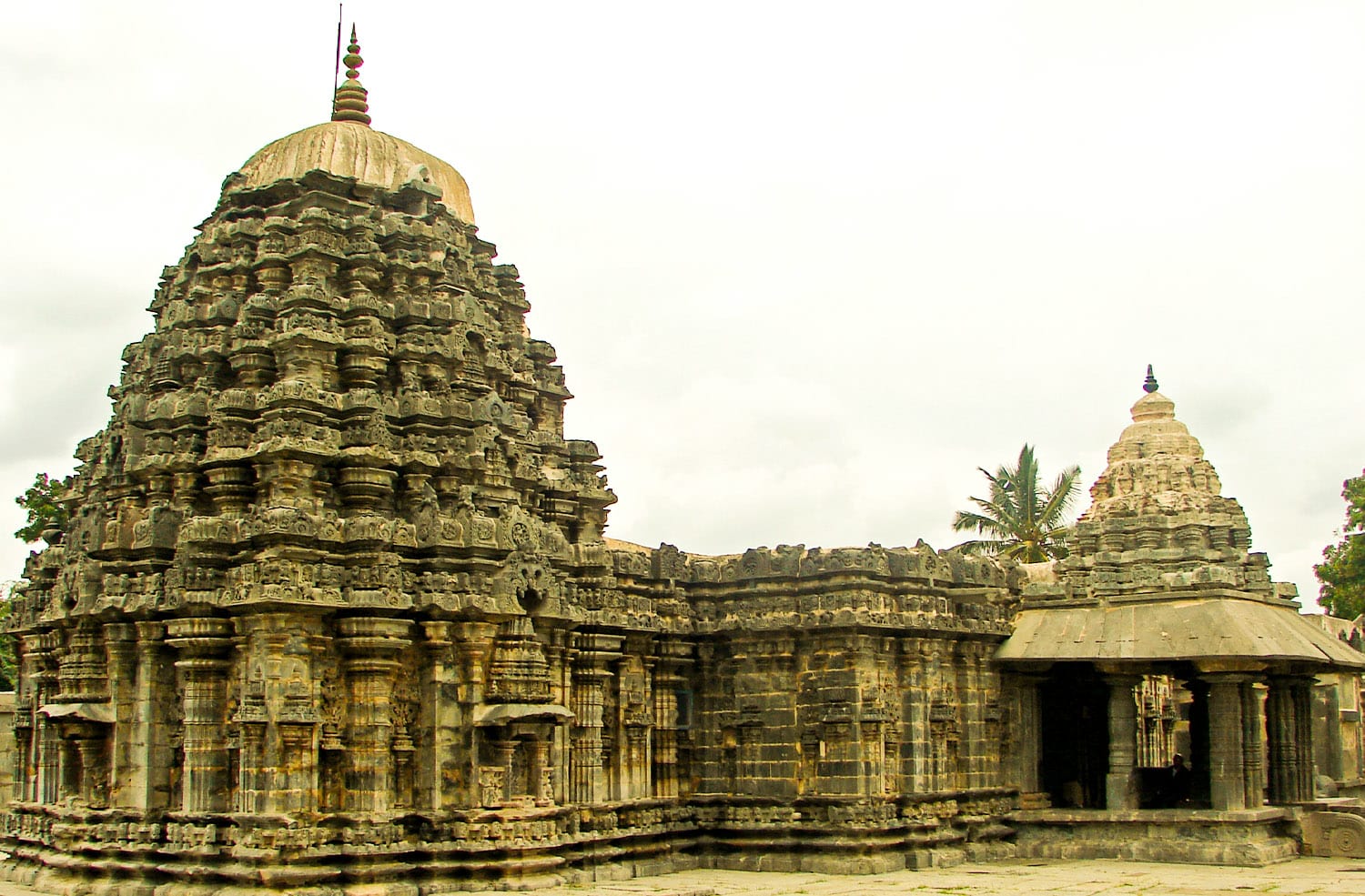 WhatsApp Image 2021-02-05 at 4.39.24 PM (1)