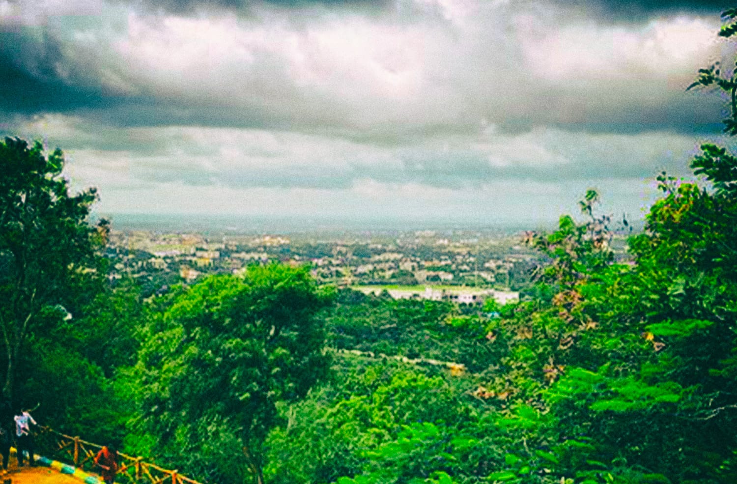 WhatsApp Image 2021-02-05 at 4.39.24 PM (2)